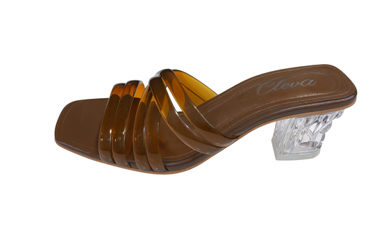 Brown Transparent Strap Clear Block Heels